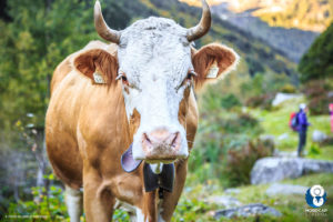 autunno in valsesia