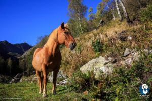 autunno in valsesia