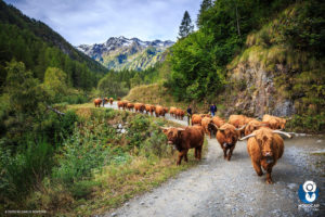 autunno in valsesia