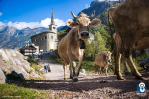 autunno in valsesia