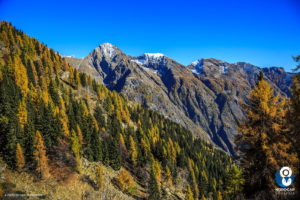 autunno in valsesia